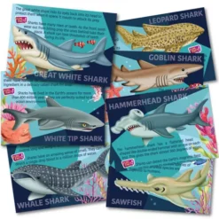 4m Gips En Verfpakket - Haaien -Kinderspeelgoed 4m gips en verfpakket haaien 3