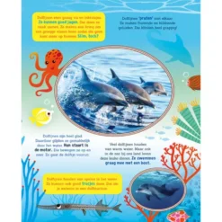 Lantaarn Publishers Lees- En Zoekboek Speuren Naar Dolfijnen 9 Lantaarn Publishers Lees- En Zoekboek Speuren Naar Dolfijnen -Kinderspeelgoed lantaarn publishers lees en zoekboek speuren naar dolfijnen 7