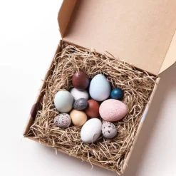 Moon Picnic Vogeleieren - 12st -Kinderspeelgoed moon picnic vogeleieren 12st 3