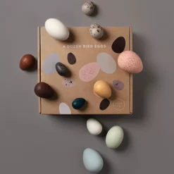 Moon Picnic Vogeleieren - 12st -Kinderspeelgoed moon picnic vogeleieren 12st 4