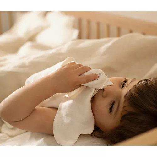 Nobodinoz Knuffeldoek Lin Français - Bird - Off White 6 Nobodinoz Knuffeldoek Lin Français - Bird - Off White - Afbeelding 4