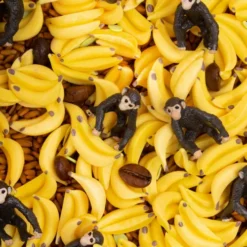 Petit Boum Sensorische Fles Sound - Monkey -Kinderspeelgoed petit boum sensorische fles sound monkey 2