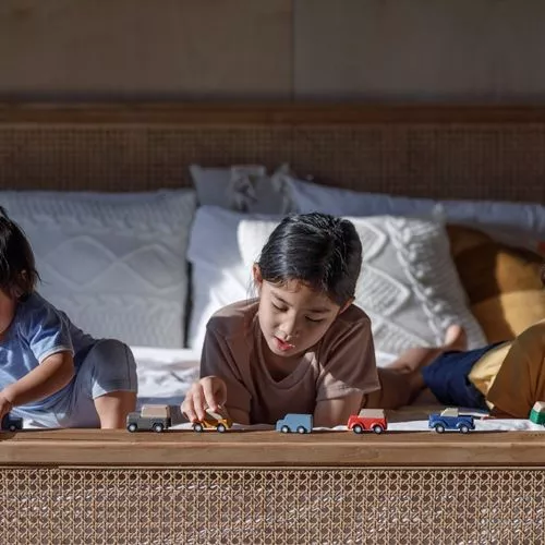 Plan Toys Voertuigen Planwood 4 Plan Toys Voertuigen Planwood - Afbeelding 2