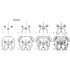 Uitgeverij Lannoo Het Stap Voor Stap Tekenboek -Kinderspeelgoed uitgeverij lannoo het stap voor stap tekenboek 1552967