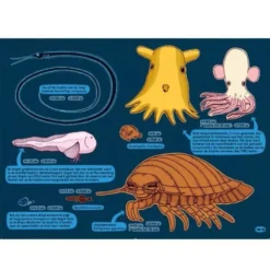 Uitgeverij Lannoo Onder De Grond En Onder Water -Kinderspeelgoed uitgeverij lannoo onder de grond en onder water 1