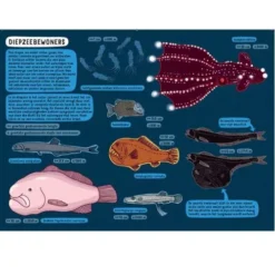 Uitgeverij Lannoo Onder De Grond En Onder Water -Kinderspeelgoed uitgeverij lannoo onder de grond en onder water 2