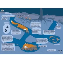 Uitgeverij Lannoo Onder De Grond En Onder Water -Kinderspeelgoed uitgeverij lannoo onder de grond en onder water 3