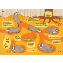 Uitgeverij Lannoo Onder De Grond En Onder Water -Kinderspeelgoed uitgeverij lannoo onder de grond en onder water 4