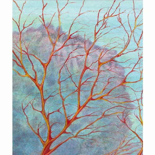 Uitgeverij Leopold Zeepaardje Zoekt Een Vriendje 4 Uitgeverij Leopold Zeepaardje Zoekt Een Vriendje - Afbeelding 2