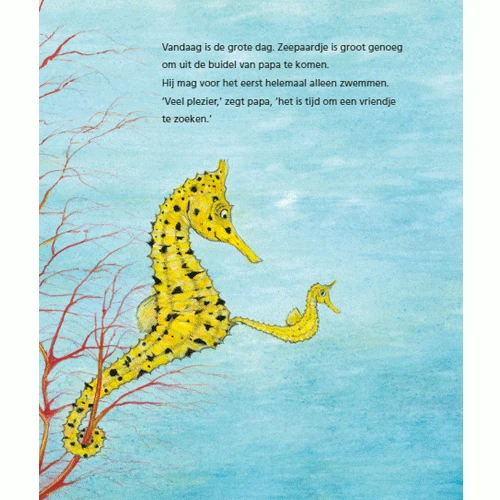 Uitgeverij Leopold Zeepaardje Zoekt Een Vriendje 5 Uitgeverij Leopold Zeepaardje Zoekt Een Vriendje - Afbeelding 3