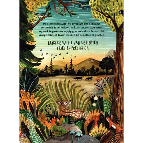 Uitgeverij Christofoor Zoekboek Het Geheime Bos 4 Uitgeverij Christofoor Zoekboek Het Geheime Bos - Afbeelding 2