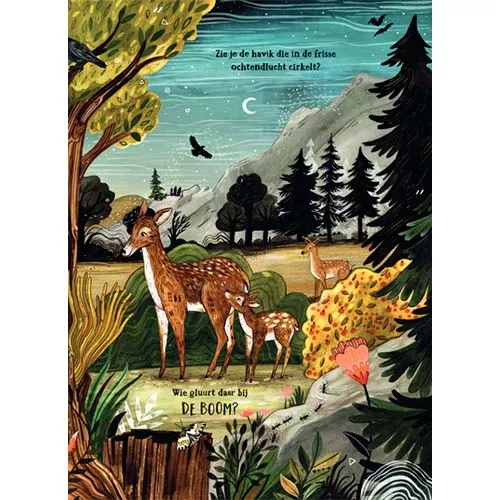 Uitgeverij Christofoor Zoekboek Het Geheime Bos 5 Uitgeverij Christofoor Zoekboek Het Geheime Bos - Afbeelding 3