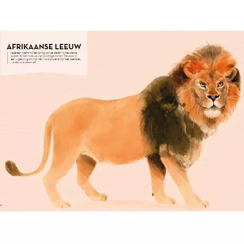 Uitgeverij Clavis Superbeesjes - Lawaaimakers 5 Uitgeverij Clavis Superbeesjes - Lawaaimakers - Afbeelding 3