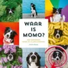 Uitgeverij Condor Kartonboek Waar Is Momo? -Kinderspeelgoed uitgeverij condor kartonboek waar is momo1