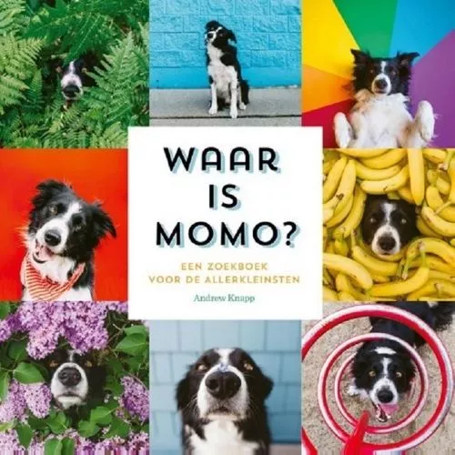 Uitgeverij Condor Kartonboek Waar Is Momo? 3 Uitgeverij Condor Kartonboek Waar Is Momo?