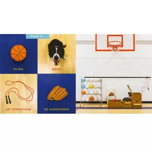 Uitgeverij Condor Kartonboek Waar Is Momo? 4 Uitgeverij Condor Kartonboek Waar Is Momo? - Afbeelding 2