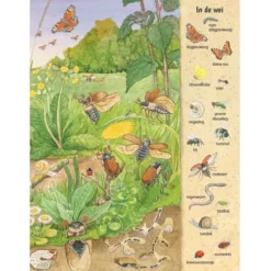 Uitgeverij Deltas Kijk- En Zoekboek Kriebeldiertjes -Kinderspeelgoed uitgeverij deltas kijk en zoekboek kriebeldiertjes 5