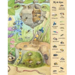 Uitgeverij Deltas Kijk- En Zoekboek Kriebeldiertjes -Kinderspeelgoed uitgeverij deltas kijk en zoekboek kriebeldiertjes 7