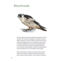 Uitgeverij Terra Vogeldoeboek Herken, Teken, Noteer -Kinderspeelgoed uitgeverij lannoo vogeldoeboek herken teken noteer 10