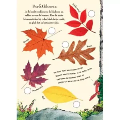 Uitgeverij Lemniscaat Het Gruffalo Herfst Natuurspeurboek -Kinderspeelgoed uitgeverij lemniscaat het gruffalo herfst natuurspeurboek 1