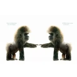 Uitgeverij Lemniscaat Raar -Kinderspeelgoed uitgeverij lemniscaat raar3