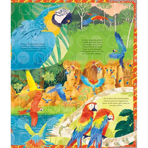 Uitgeverij Lemniscaat Vandaag, Ergens Op Aarde 7 Uitgeverij Lemniscaat Vandaag, Ergens Op Aarde - Afbeelding 5