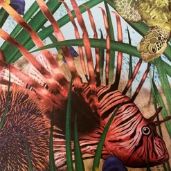 Uitgeverij Lemniscaat Waterwerelden 16 Uitgeverij Lemniscaat Waterwerelden -Kinderspeelgoed uitgeverij lemniscaat waterwerelden 1