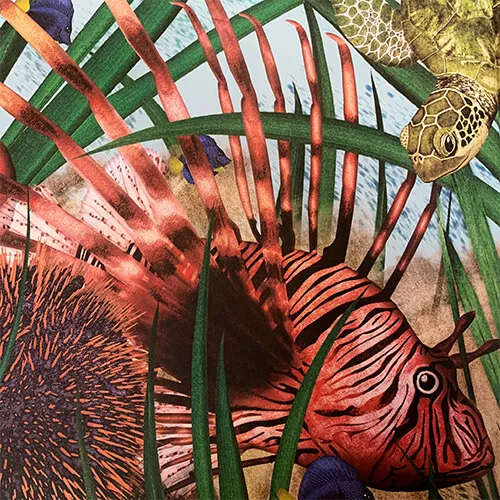 Uitgeverij Lemniscaat Waterwerelden 7 Uitgeverij Lemniscaat Waterwerelden - Afbeelding 5