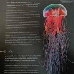 Uitgeverij Lemniscaat Waterwerelden 13 Uitgeverij Lemniscaat Waterwerelden -Kinderspeelgoed uitgeverij lemniscaat waterwerelden 2