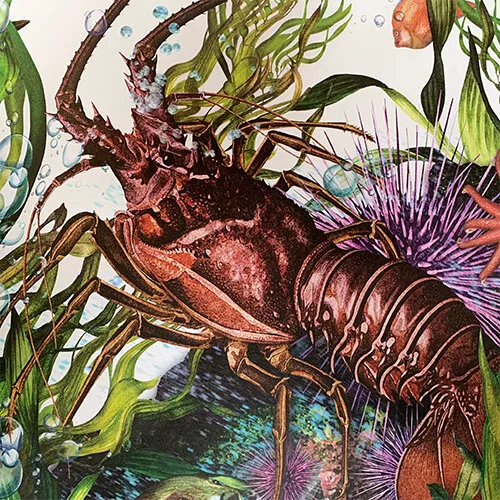 Uitgeverij Lemniscaat Waterwerelden 9 Uitgeverij Lemniscaat Waterwerelden - Afbeelding 7