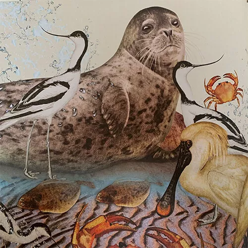 Uitgeverij Lemniscaat Waterwerelden 5 Uitgeverij Lemniscaat Waterwerelden - Afbeelding 3