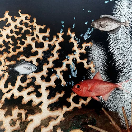 Uitgeverij Lemniscaat Waterwerelden 12 Uitgeverij Lemniscaat Waterwerelden - Afbeelding 10