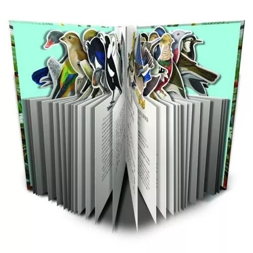 Uitgeverij Luitingh-sijthoff Press-out Boek Fraaie Vogels 4 Uitgeverij Luitingh-sijthoff Press-out Boek Fraaie Vogels - Afbeelding 2