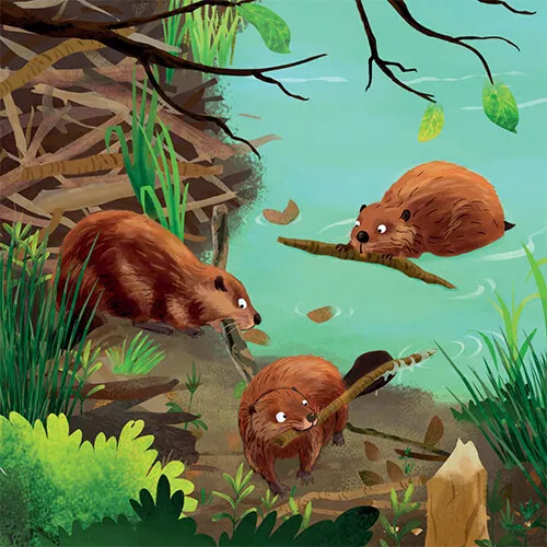 Uitgeverij Moon Het Dikke Vaderlandse Dierenboek 10 Uitgeverij Moon Het Dikke Vaderlandse Dierenboek - Afbeelding 8