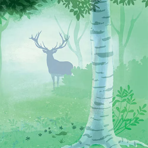 Uitgeverij Moon Het Dikke Vaderlandse Dierenboek 4 Uitgeverij Moon Het Dikke Vaderlandse Dierenboek - Afbeelding 2