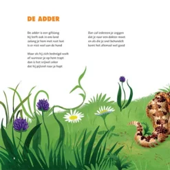 Uitgeverij Moon Het Dikke Vaderlandse Dierenboek 15 Uitgeverij Moon Het Dikke Vaderlandse Dierenboek -Kinderspeelgoed uitgeverij moon het dikke vaderlandse dierenboek 6