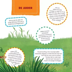 Uitgeverij Moon Het Dikke Vaderlandse Dierenboek 17 Uitgeverij Moon Het Dikke Vaderlandse Dierenboek -Kinderspeelgoed uitgeverij moon het dikke vaderlandse dierenboek 8