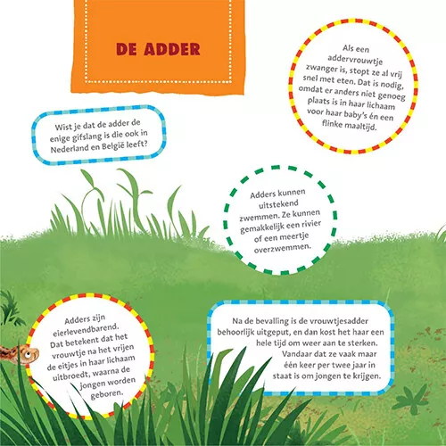 Uitgeverij Moon Het Dikke Vaderlandse Dierenboek 8 Uitgeverij Moon Het Dikke Vaderlandse Dierenboek - Afbeelding 6