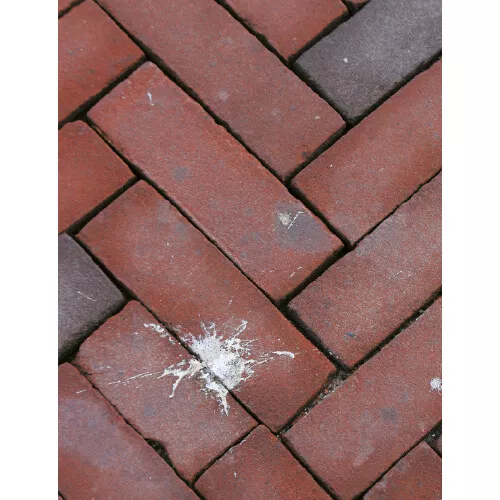 Uitgeverij Ploegsma Perronpapegaaien En Krekel-criminelen 11 Uitgeverij Ploegsma Perronpapegaaien En Krekel-criminelen - Afbeelding 9