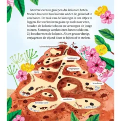 Uitgeverij Rubinstein Mijn Gouden Boekje Over Insecten 17 Uitgeverij Rubinstein Mijn Gouden Boekje Over Insecten -Kinderspeelgoed uitgeverij rubinstein mijn gouden boekje over insecten 6