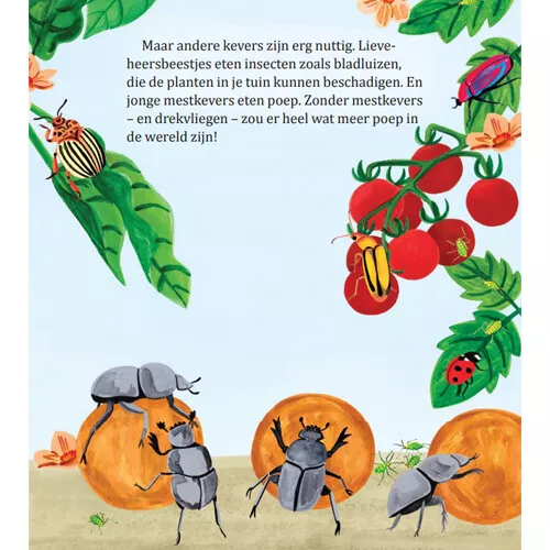 Uitgeverij Rubinstein Mijn Gouden Boekje Over Insecten 10 Uitgeverij Rubinstein Mijn Gouden Boekje Over Insecten - Afbeelding 8