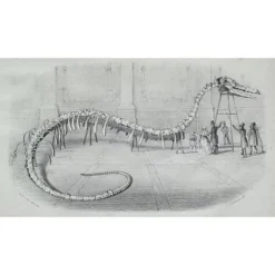 Uitgeverij Rubinstein Monsterdieren Fabels En Feiten -Kinderspeelgoed uitgeverij rubinstein monsterdieren fabels en feiten 5