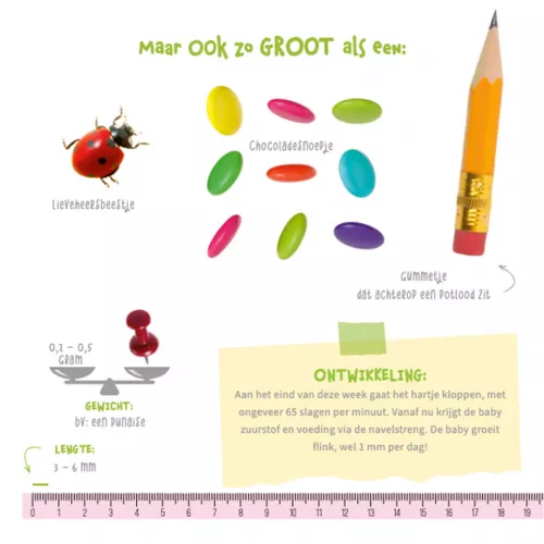Uitgeverij Witte Leeuw Dag Erwtje, Welkom Watermeloen 5 Uitgeverij Witte Leeuw Dag Erwtje, Welkom Watermeloen - Afbeelding 3