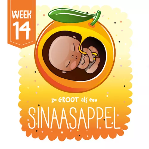 Uitgeverij Witte Leeuw Dag Erwtje, Welkom Watermeloen 6 Uitgeverij Witte Leeuw Dag Erwtje, Welkom Watermeloen - Afbeelding 4